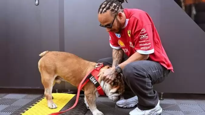 Lewis Hamilton’dan duygulandıran paylaşım: Roscoe’nun LEGO portresi hayran bıraktı