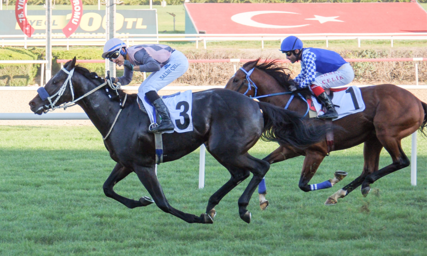 Battle For Glory’den Rövanşlı Zafer!