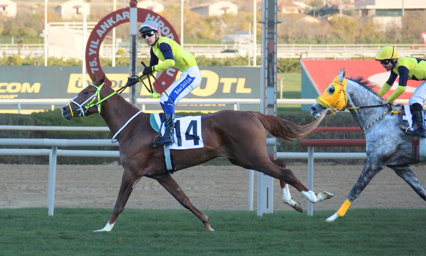Gökırmak’tan Tarihi Zafer! Üç yaşında devlere kafa tuttu, Başkent’te tarih yazdı…